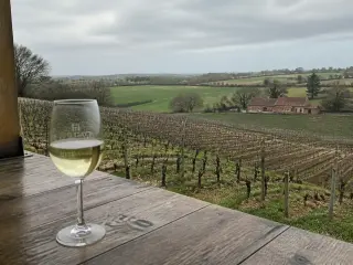 Glass of Belgian white wine on a wooden table overlooking rolling vineyards in Hesbaye under a grey sky, with a red-brick farmhouse in the background.