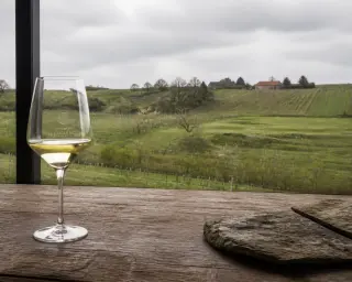 Glass of Belgian white wine on a wooden table overlooking a cloudy vineyard and brick farmhouse in soft northern light