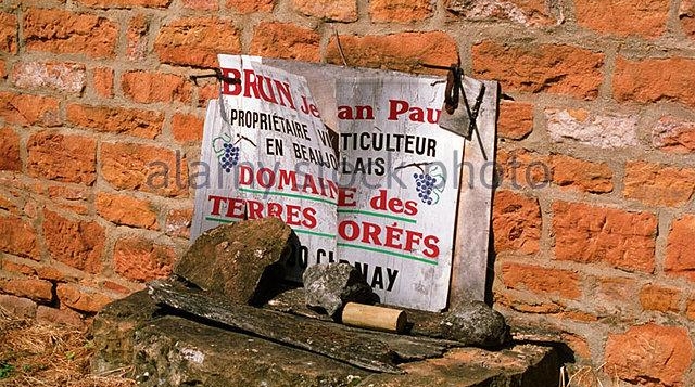 Domaine des Terres Dorées, Jean-Paul Brun