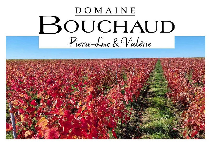 Domaine Bouchaud